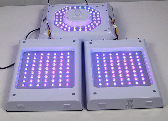 Facial Red Light PDT LED Light Therapy Machine 24W 6 Colour For Acne