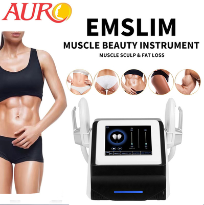 Butt Lift Spa EMS Sculpting Machine 2 Handle Electric Muscle Stimulation Machine