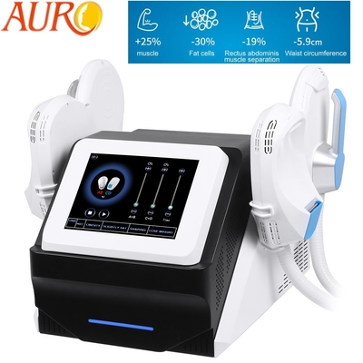 EMS Weight Loss Machine EMSCULPT Hi-Emt Emslim Body Slimming Muscle Stimulation