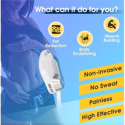 EMS Weight Loss Machine EMSCULPT Hi-Emt Emslim Body Slimming Muscle Stimulation