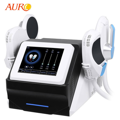 Lipo Massage Fat Burning Machine Emslim RF EMS Muscle Stimulator Weight Loss Fat Burner
