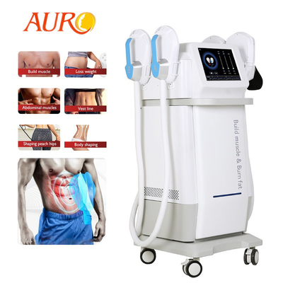Emslimming HIFM TeslaSculpting Muscle Building EMSLIM 4 Handles Body Slimming Machine