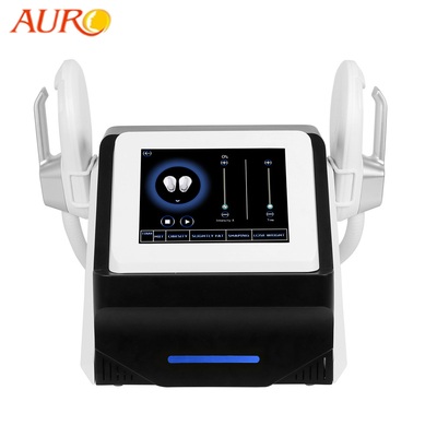 Salon Electromagnetic Electric Muscle Stimulator Machine Fat Reduction Body Fitness 3000W
