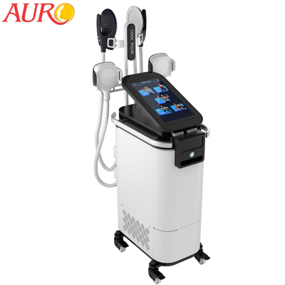 Electromagnetic Electric Muscle Stimulator Machine Fat Reduction Body Fitness 3000W