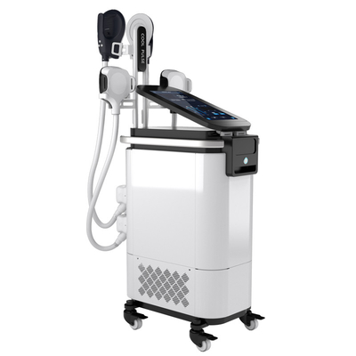 Electromagnetic Electric Muscle Stimulator Machine Fat Reduction Body Fitness 3000W