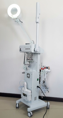 Face Lift Steamer Ozone High Frequency Machine 14 In 1 Magnifying Lamp