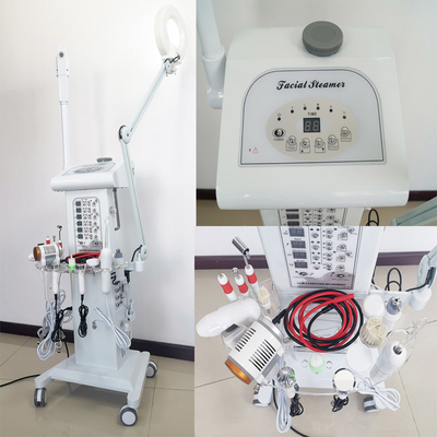 Multifunctional Facial Beauty Steamer Machine 14 In 1 For Face Lifting