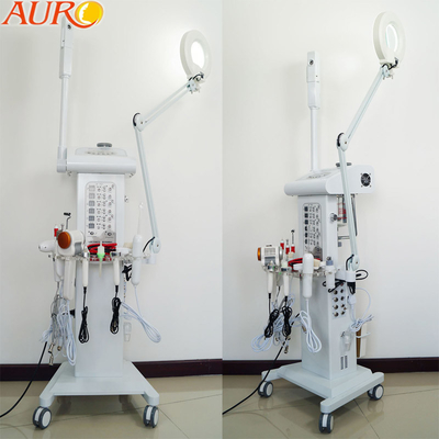 Salon Vacuum Spray Multifunctional Facial Machine 110V 220V Magnifying Lamp