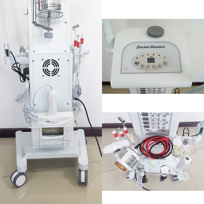 Salon Vacuum Spray Multifunctional Facial Machine 110V 220V Magnifying Lamp