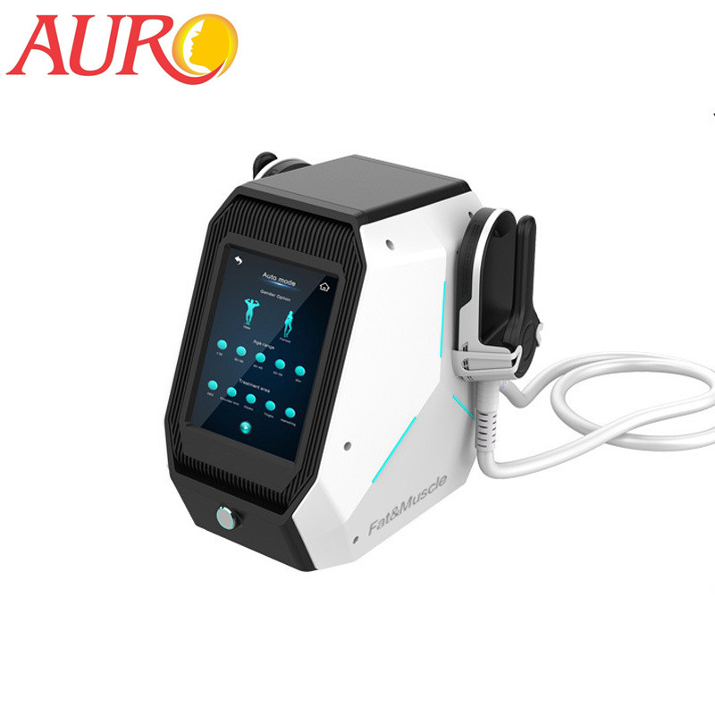 Dual Handles Body Slimming EMS Muscle Stimulator EMS Sculpting Machine With Touch Screen